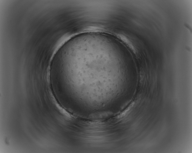 X0000093481421200710121436