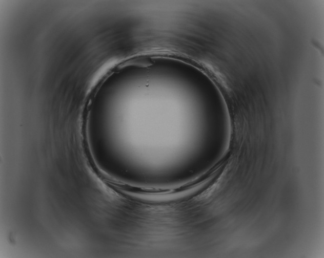 X0000093481422200710121436