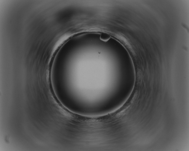 X0000093481424200710121436