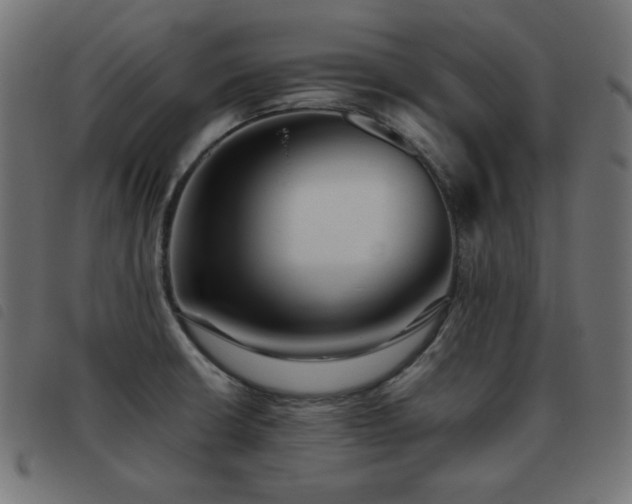 X0000093481426200710121436