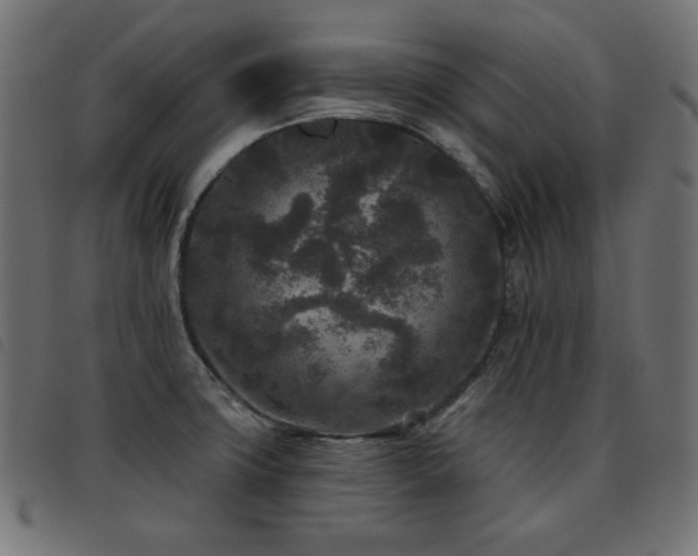 X0000093481427200710121436