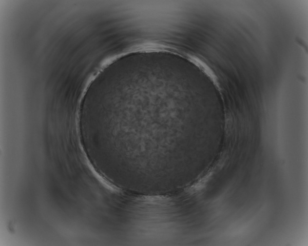 X0000093481429200710121436