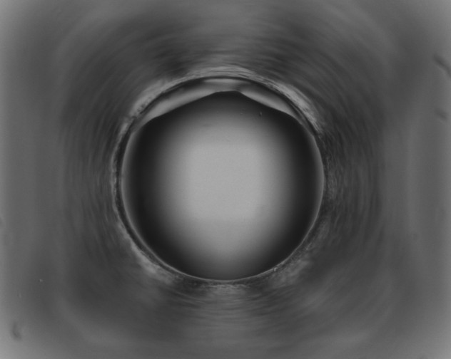 X0000093481430200710121436