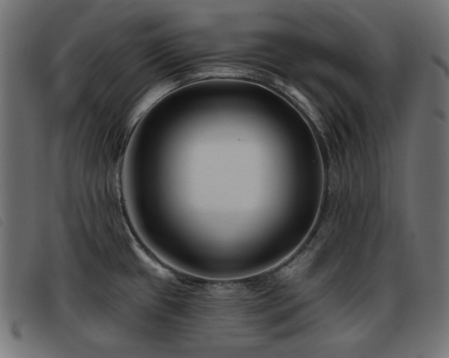 X0000093481433200710121436
