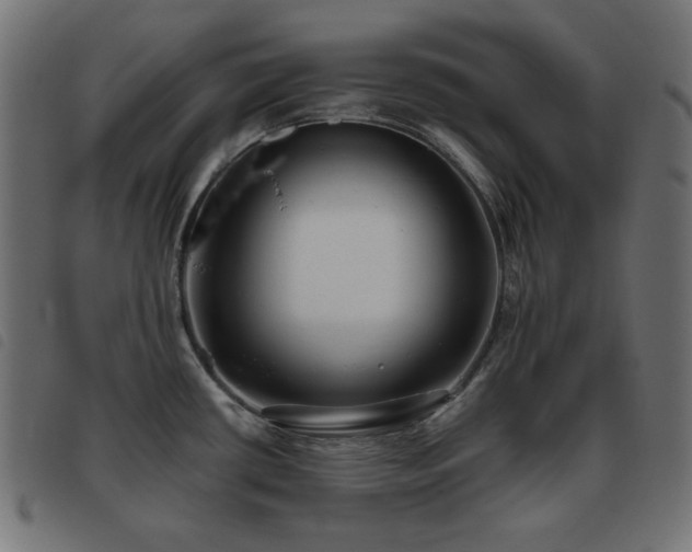 X0000093481434200710121436