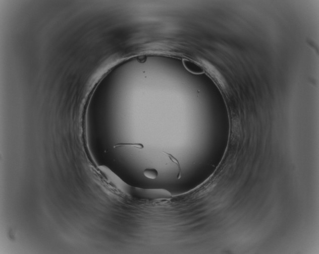 X0000093481435200710121436