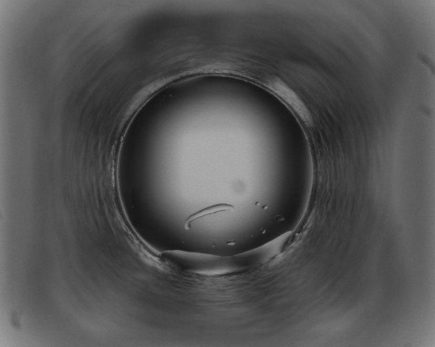X0000093481436200710121436
