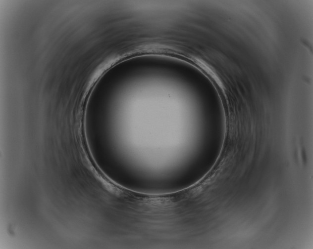 X0000093481437200710121436