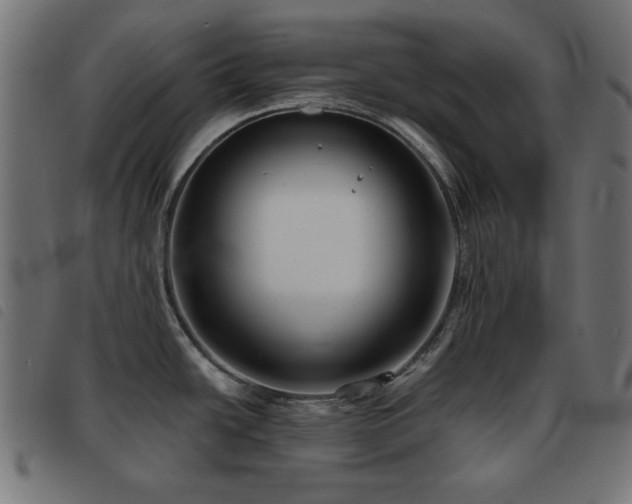 X0000093481438200710121436