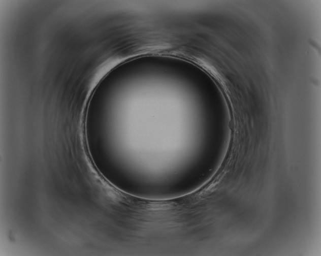 X0000093481440200710121436