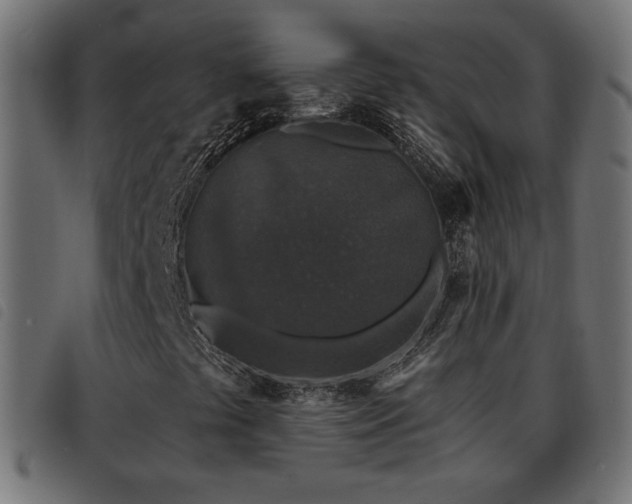 X0000093481441200710121436