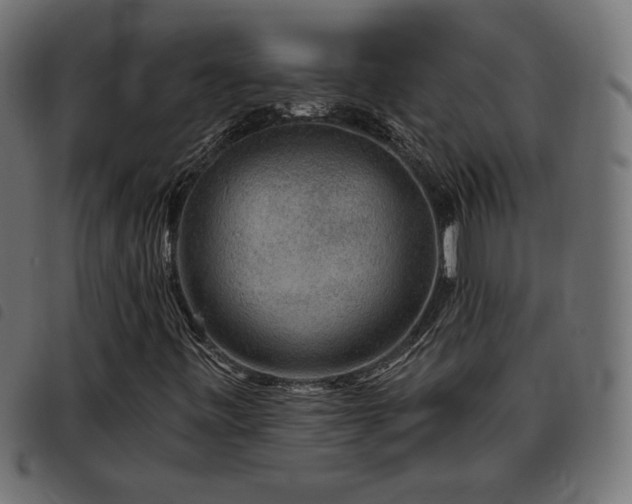 X0000093481443200710121436