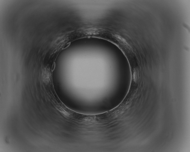 X0000093481444200710121436