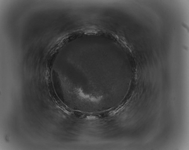 X0000093481445200710121436