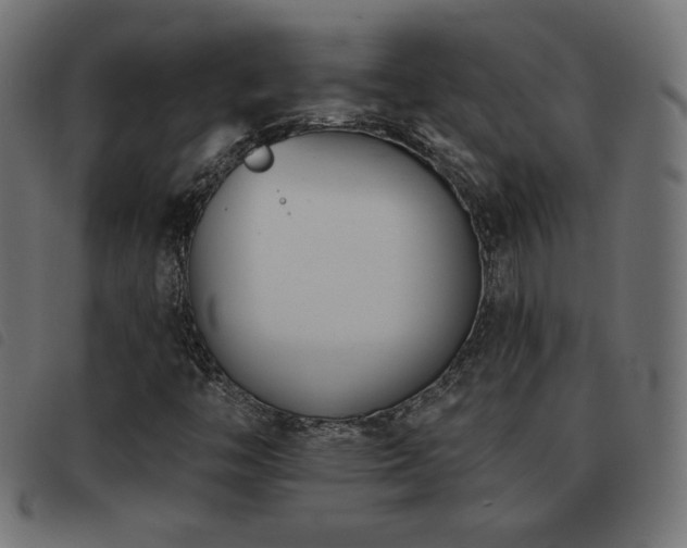 X0000093481446200710121436
