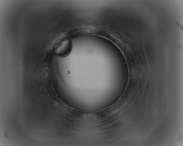 X0000093481447200710121436