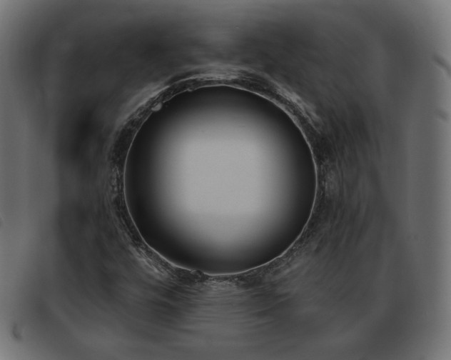X0000093481448200710121435