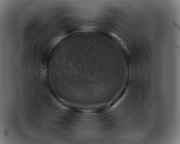 X0000093481449200710121435