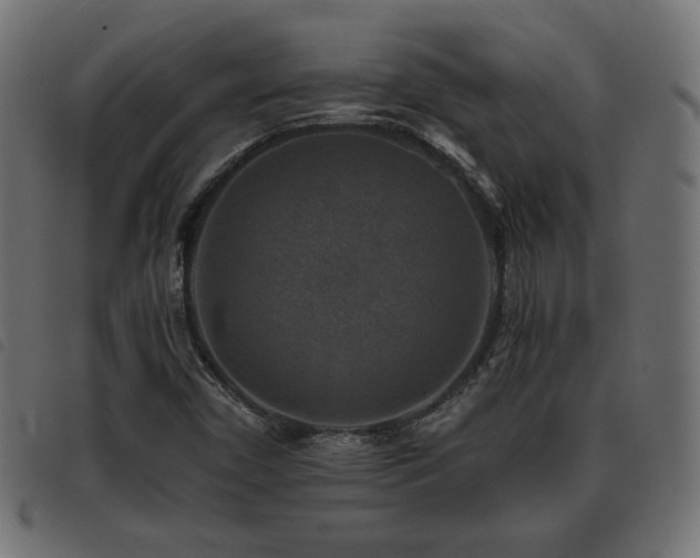 X0000093481450200710121435
