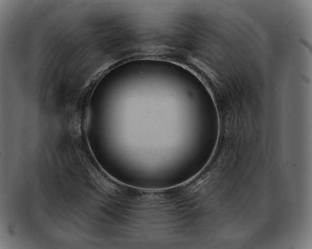 X0000093481451200710121435