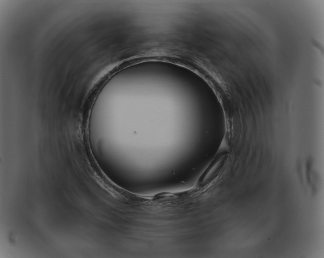 X0000093481452200710121435