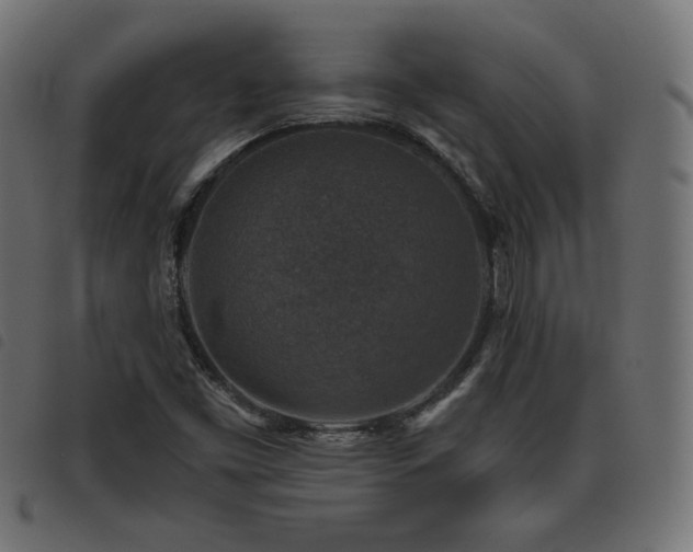 X0000093481453200710121435
