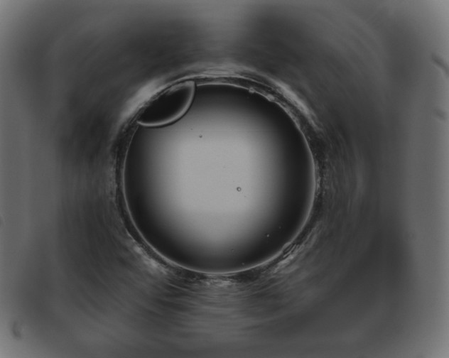 X0000093481456200710121435