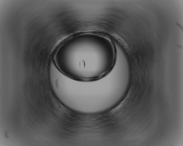 X0000093481457200710121435