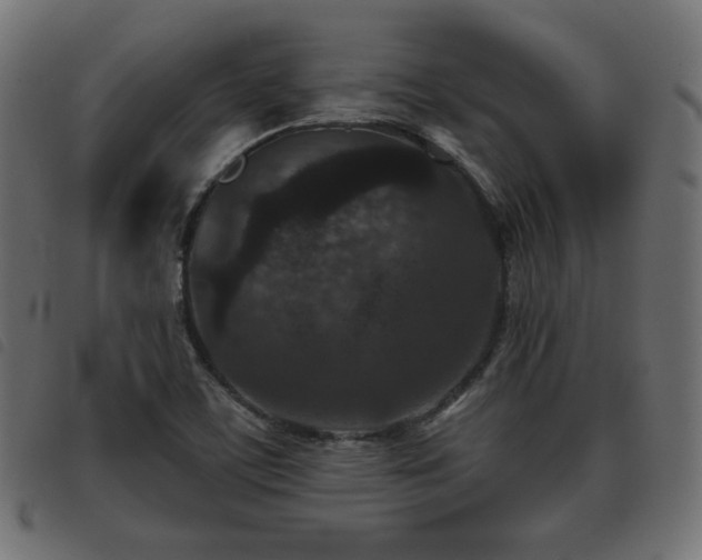 X0000093481459200710121435