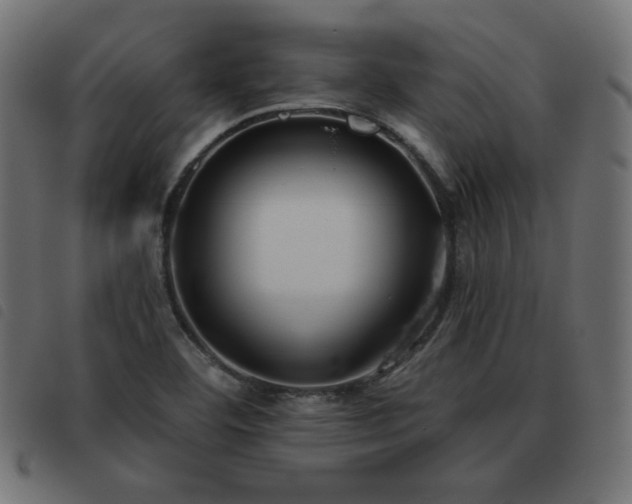 X0000093481460200710121435
