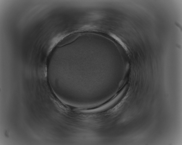 X0000093481461200710121435