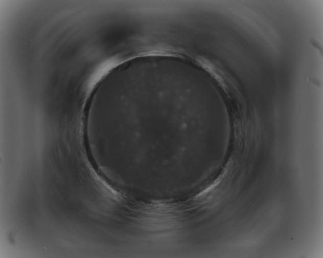 X0000093481463200710121435