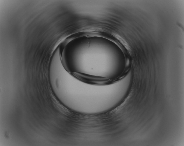 X0000093481465200710121435