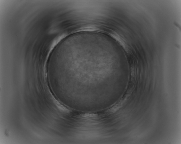 X0000093481466200710121435