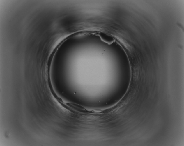 X0000093481468200710121435