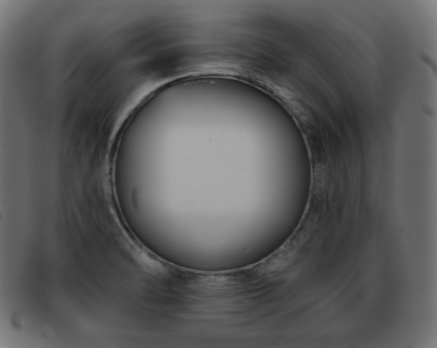 X0000093481470200710121435