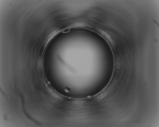X0000093481473200710121435