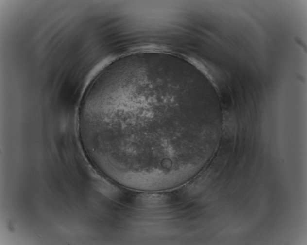 X0000093481474200710121435