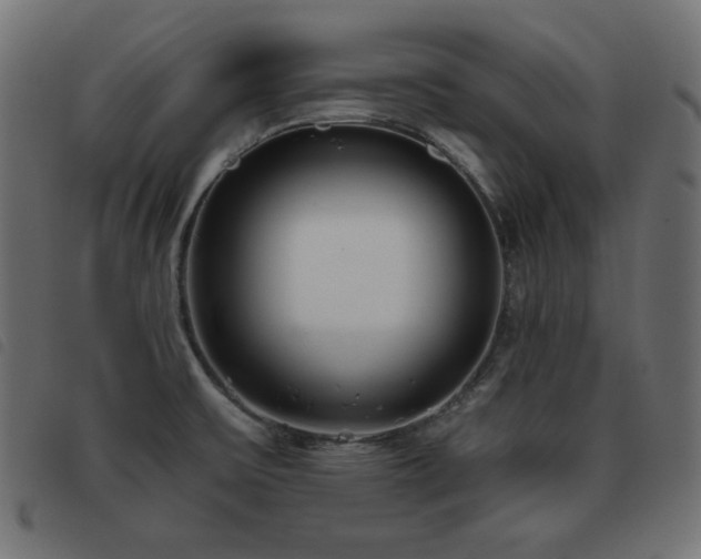 X0000093481475200710121435