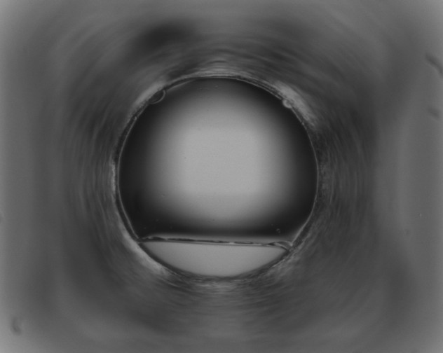 X0000093481476200710121435