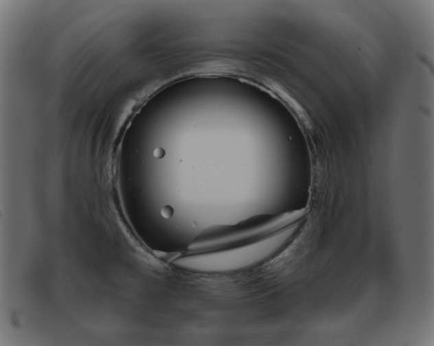 X0000093481477200710121435