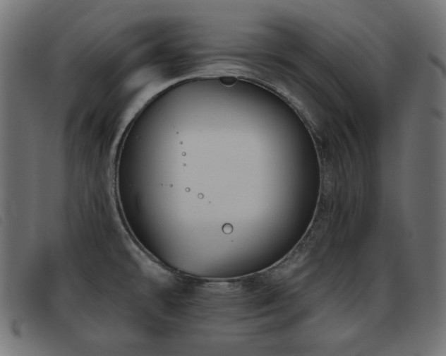 X0000093481478200710121435