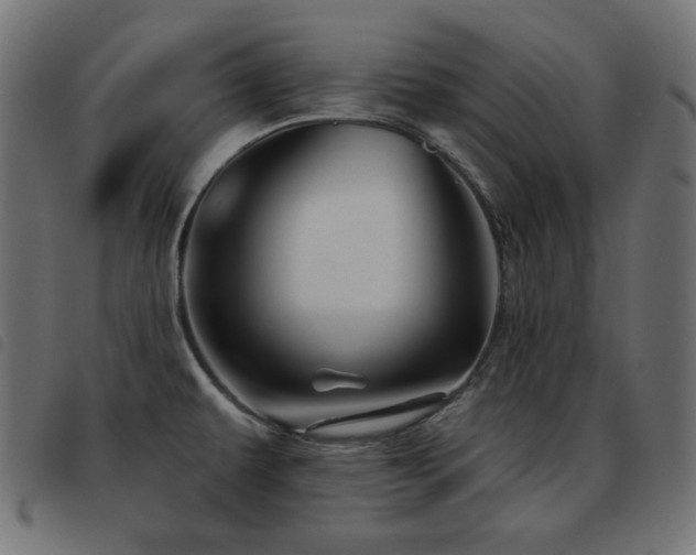 X0000093481479200710121435