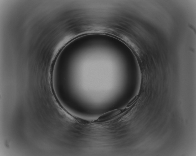 X0000093481480200710121435