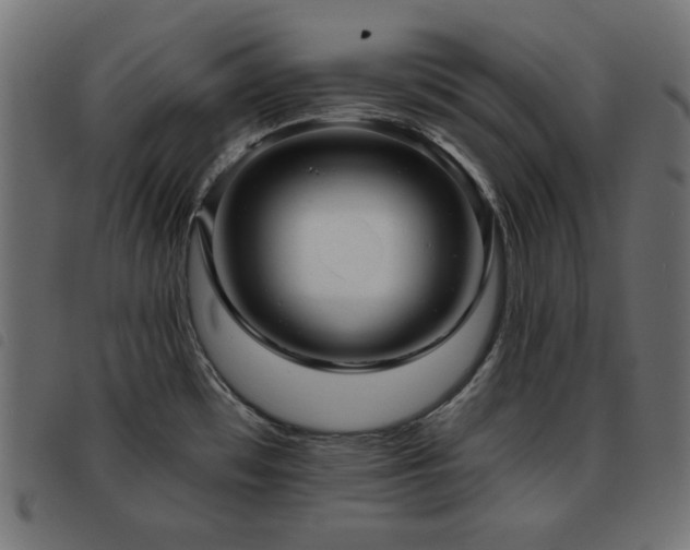 X0000093481481200710121435