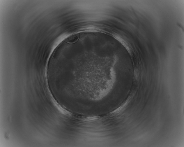 X0000093481482200710121435
