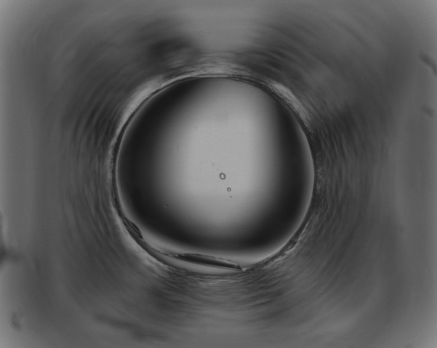 X0000093481483200710121435