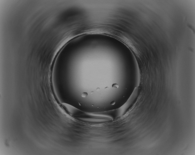 X0000093481484200710121435