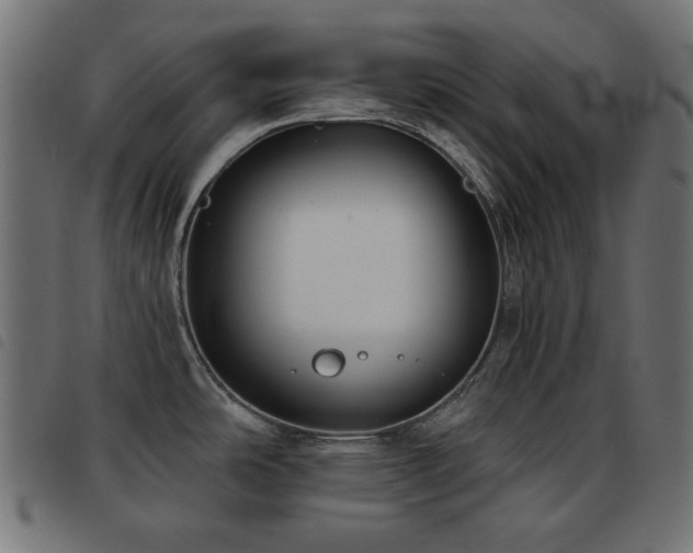 X0000093481486200710121435