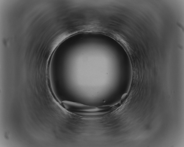 X0000093481487200710121435